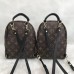 Louis Vuitton Palm Springs PM 